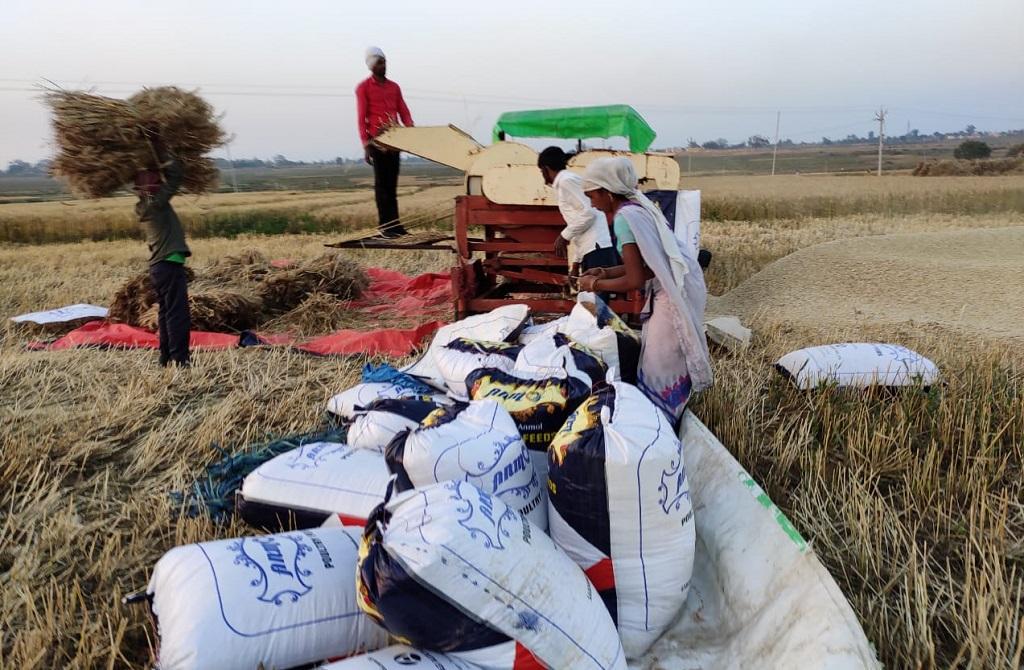 झारखंड के कई किसानों को अब तक प्रधानमंत्री किसान सम्मान की चौथी किस्त नहीं पहुंची है। फोटो: आनंद दत्त झारखंड के कई किसानों को अब तक प्रधानमंत्री किसान सम्मान की चौथी किस्त नहीं पहुंची है। फोटो: आनंद दत्त