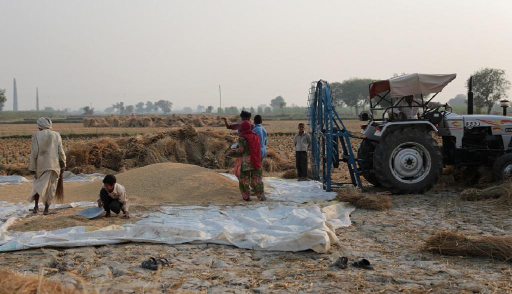 फोटो: विकास चौधरी फोटो: विकास चौधरी