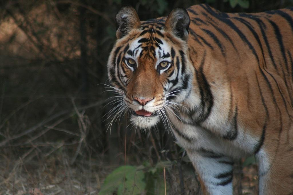 Photo: Sunita Narain Photo: Sunita Narain