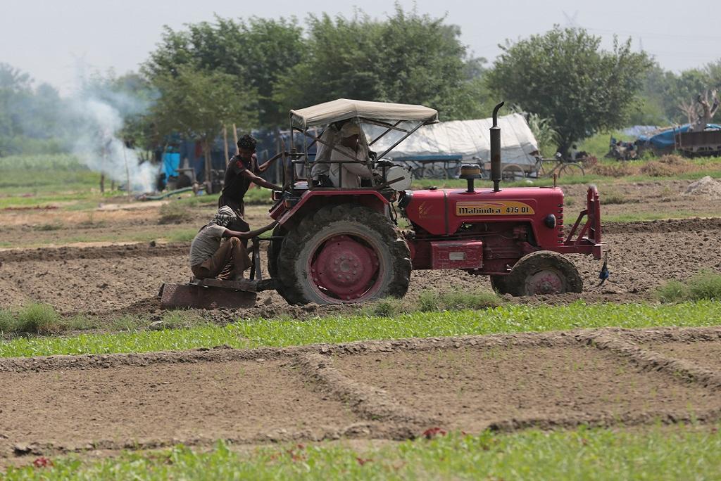 फोटो: विकास चौधरी फोटो: विकास चौधरी