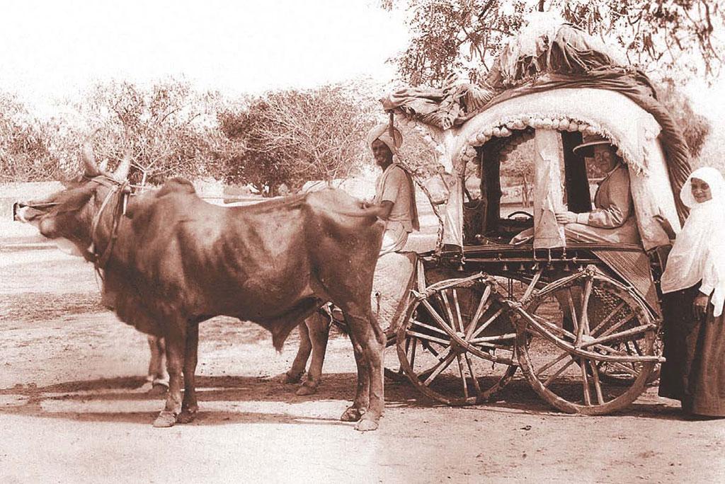 19वीं सदी में महिला मिशनरी ने खोले आधुनिक चिकित्सा के द्वार 19वीं सदी में महिला मिशनरी ने खोले आधुनिक चिकित्सा के द्वार