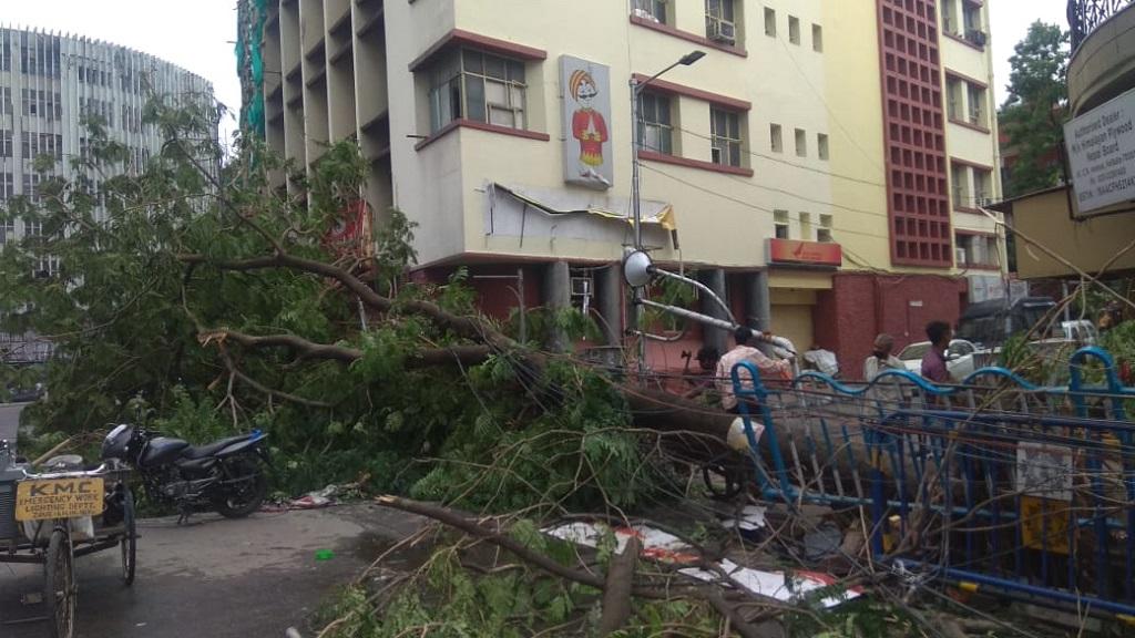 अंफान चक्रवाती तूफान की वजह से कोलकाता में बड़े-बड़े पेड़ उखड़ गए। फोटो: उमेश कुमार राय अंफान चक्रवाती तूफान की वजह से कोलकाता में बड़े-बड़े पेड़ उखड़ गए। फोटो: उमेश कुमार राय