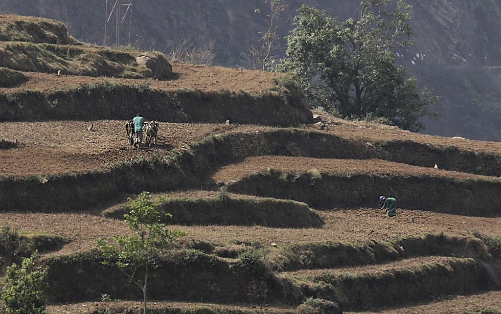फोटो: विकास चौधरी फोटो: विकास चौधरी