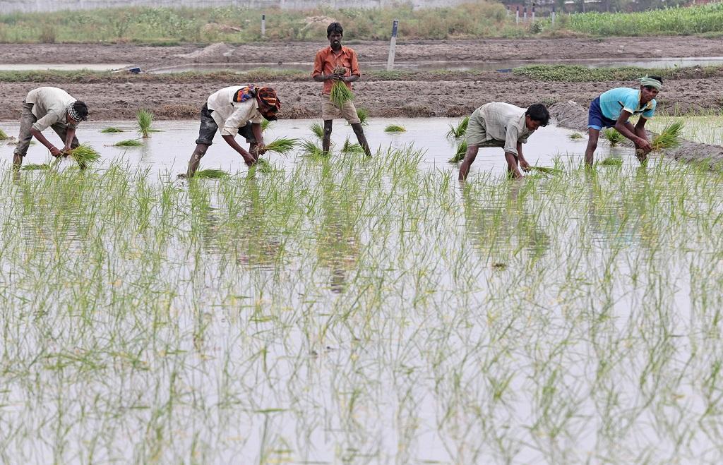 फाइल फोटो: विकास चौधरी फाइल फोटो: विकास चौधरी