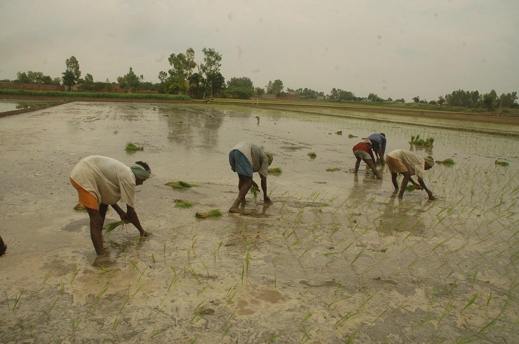 File Photo: Agnimirh Basu File Photo: Agnimirh Basu