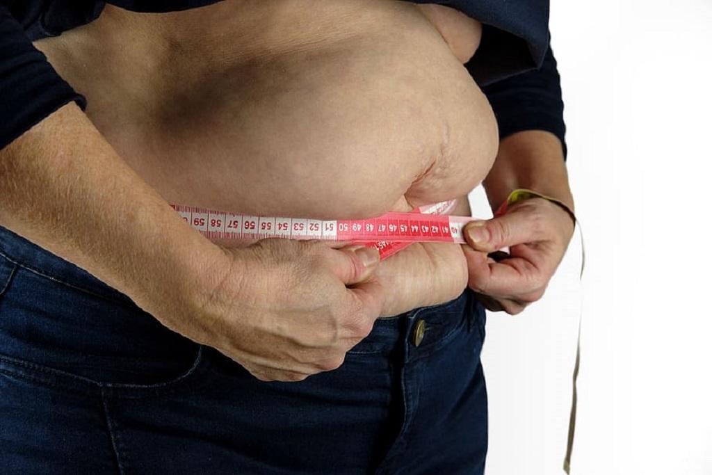 Fat cells Fat cells