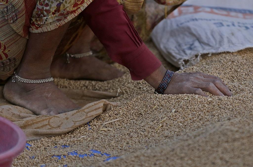 फोटो: विकास चौधरी फोटो: विकास चौधरी