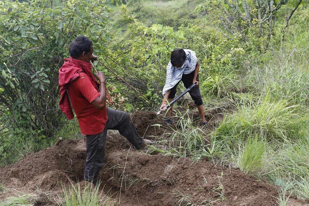 mgnrega mgnrega