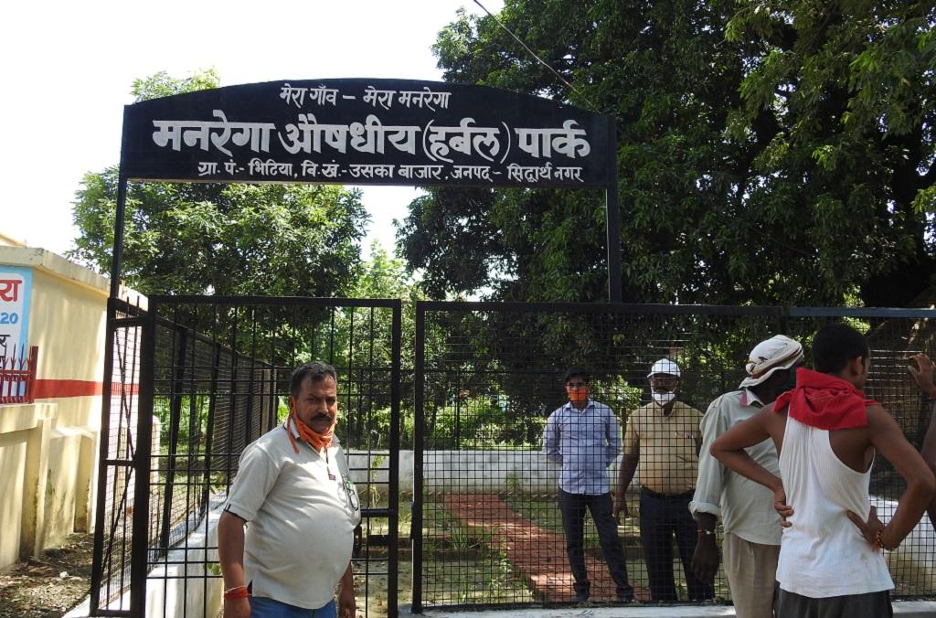 सिद्धार्थनगर के भिटिया गांव में मनरेगा से विकसित हुआ हर्बल पार्क। फोटो: विवेक मिश्रा सिद्धार्थनगर के भिटिया गांव में मनरेगा से विकसित हुआ हर्बल पार्क। फोटो: विवेक मिश्रा