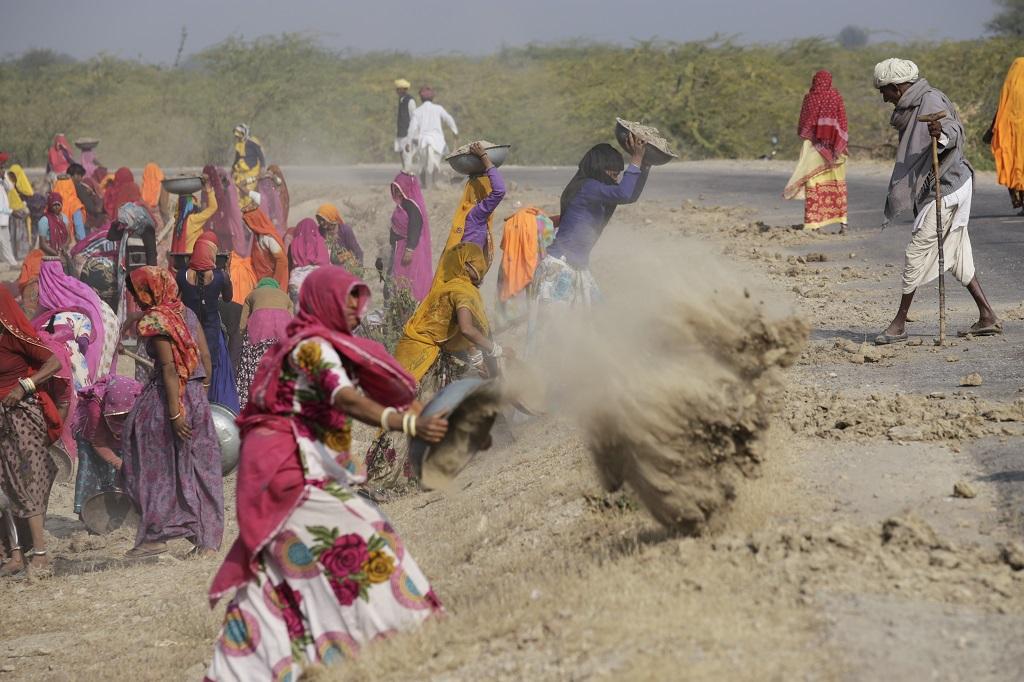 फोटो: विकास चौधरी फोटो: विकास चौधरी