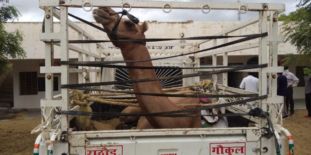 फोटो: उरमूल ट्रस्ट फोटो: उरमूल ट्रस्ट