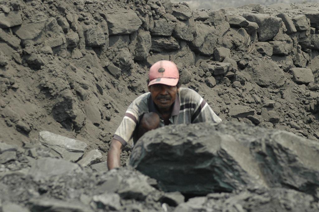 Coal auction Coal auction