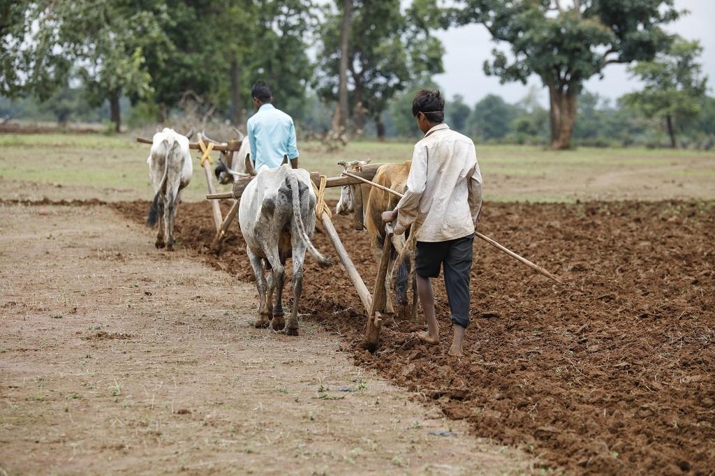 फोटो: विकास चौधरी फोटो: विकास चौधरी