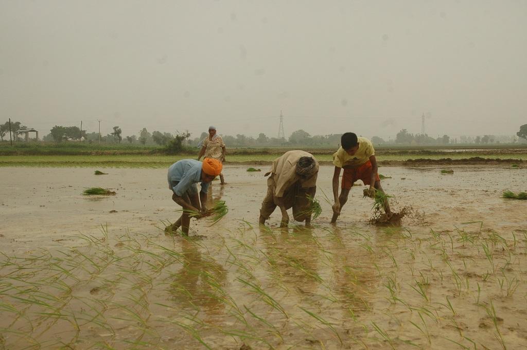 Photo: Agnimirh Basu Photo: Agnimirh Basu