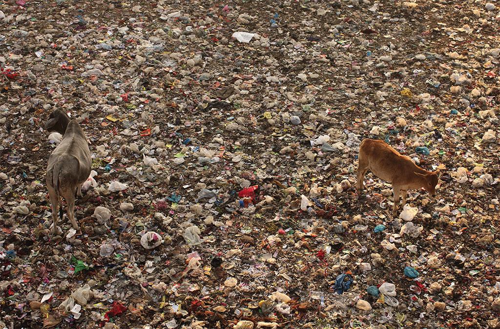 नई दिल्ली रेलवे स्टेशन के निकट प्लास्टिक कचरे का ढेर। प्लास्टिक को एंथ्रोपोसीन के प्रतीक के रूप में देखा जा रहा है