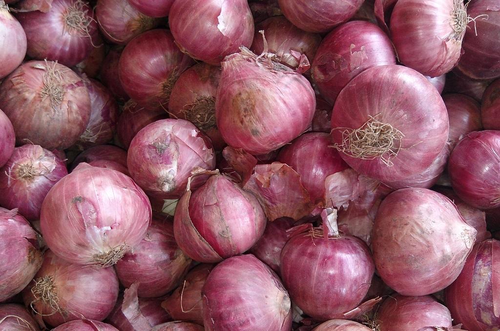 Onion prices Onion prices