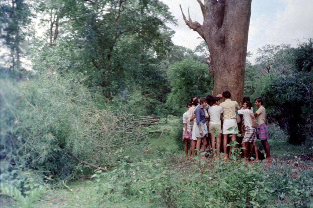 कर्नाटक का मशहूर अप्पिको आंदोलन, स्रोत : बाबा मायाराम कर्नाटक का मशहूर अप्पिको आंदोलन, स्रोत : बाबा मायाराम