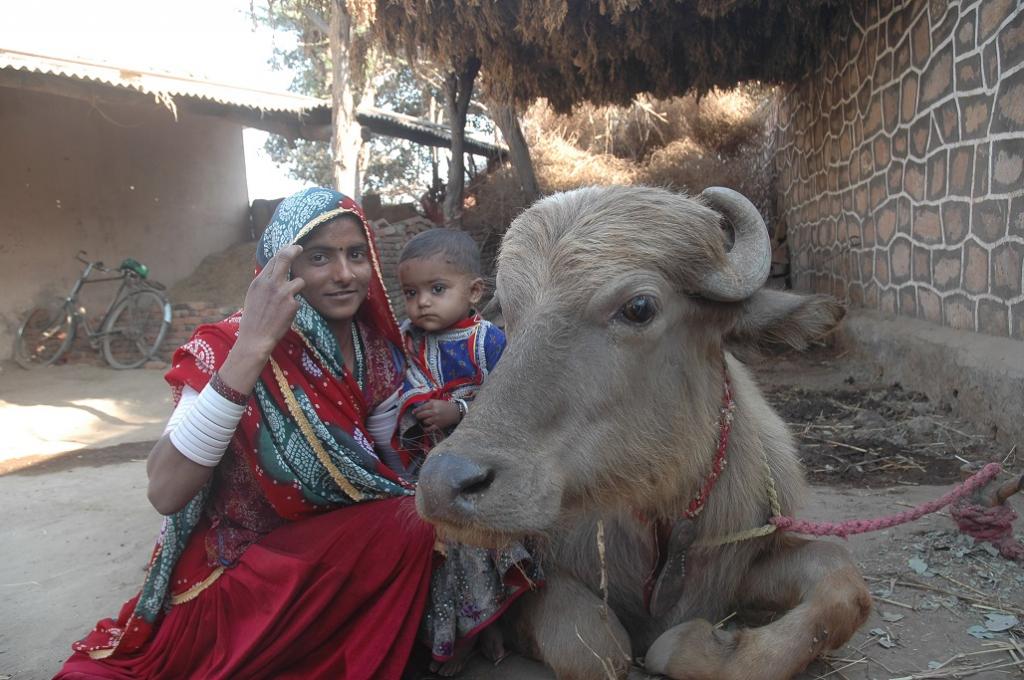 गांवों में रह रही महिलाएं लगभग 5 घंटे अपने परिवार की देखभाल में खर्च कर देती हैं। फोटो सम्राट मुखर्जी/सीएसई गांवों में रह रही महिलाएं लगभग 5 घंटे अपने परिवार की देखभाल में खर्च कर देती हैं। फोटो सम्राट मुखर्जी/सीएसई