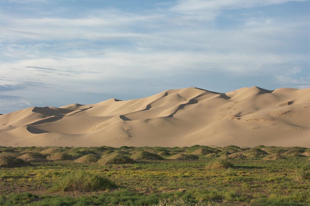 Steppe-desert biome in Central Asia Steppe-desert biome in Central Asia