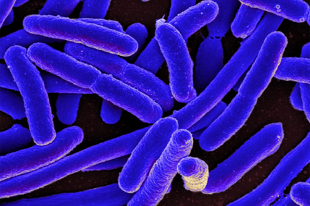 New method to remove harmful E. coli from water
New method to remove harmful E. coli from water