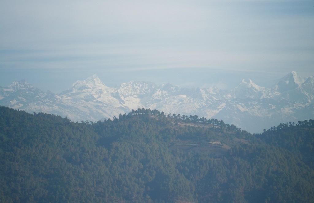 फोटो: सीएसई फोटो: सीएसई