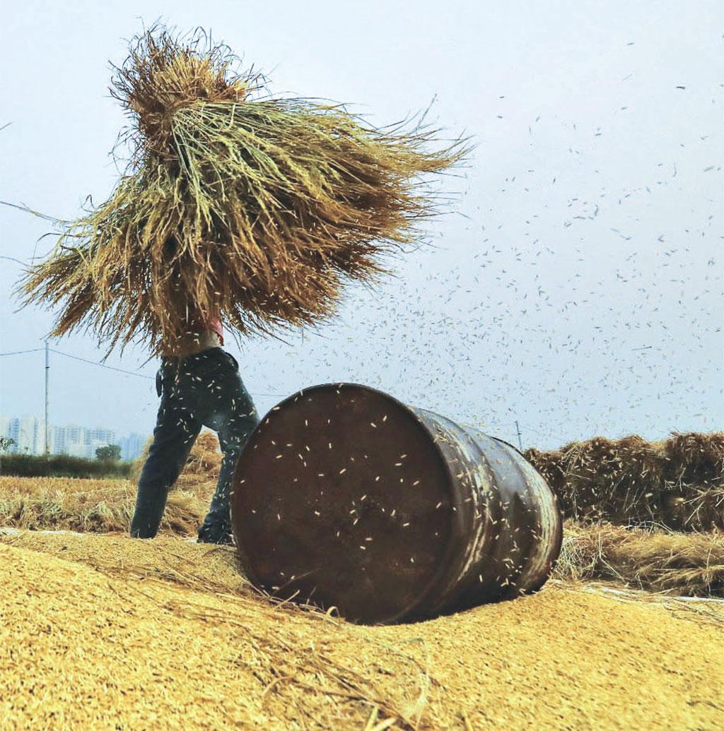 वर्चस्व की लड़ाई वर्चस्व की लड़ाई