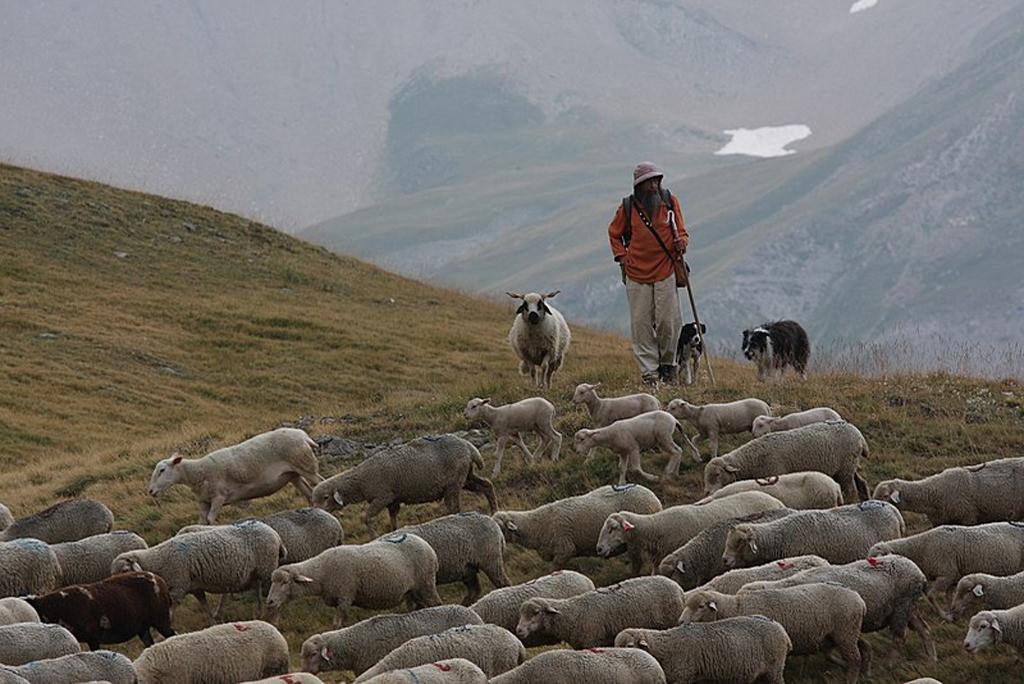 Banning non-vegetarian food will not solve climate crisis Banning non-vegetarian food will not solve climate crisis
