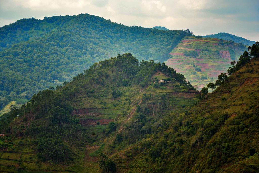 By 2050, millions of square kilometers of natural habitats will disappear forever due to increasing agricultural pressure By 2050, millions of square kilometers of natural habitats will disappear forever due to increasing agricultural pressure