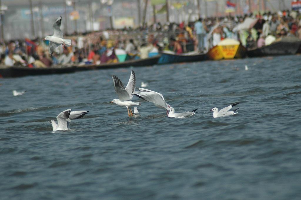 Photo: Agnimirh Basu Photo: Agnimirh Basu