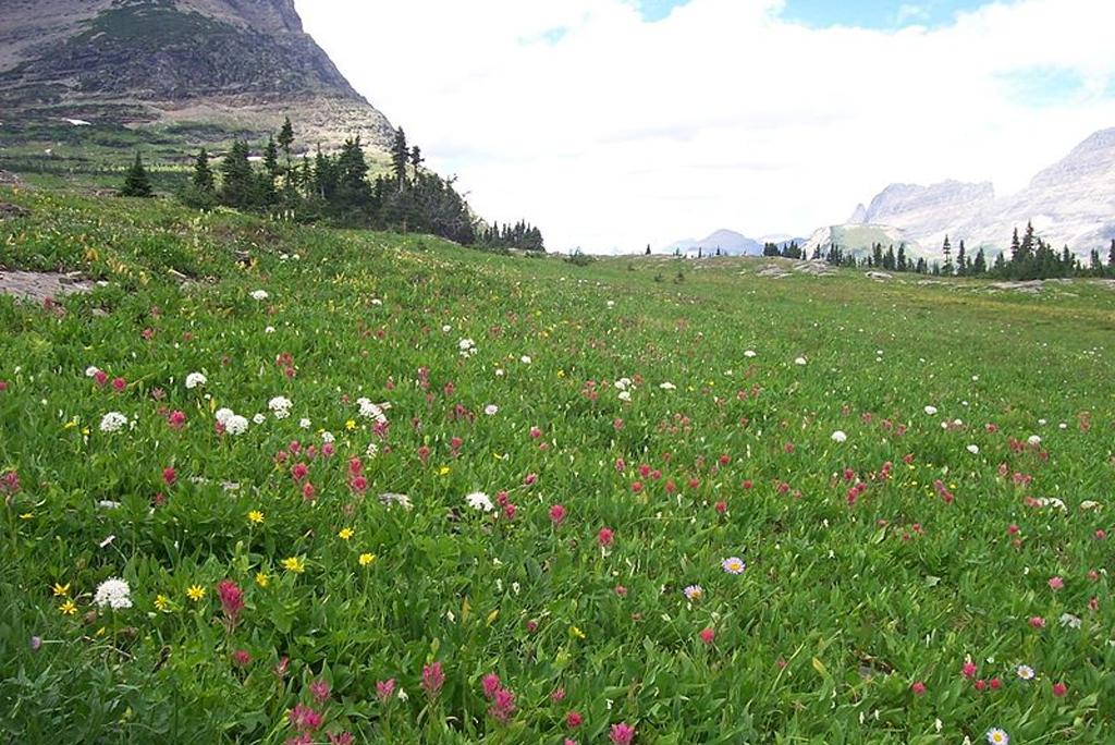 Climate change is affecting biodiversity conservation plans Climate change is affecting biodiversity conservation plans