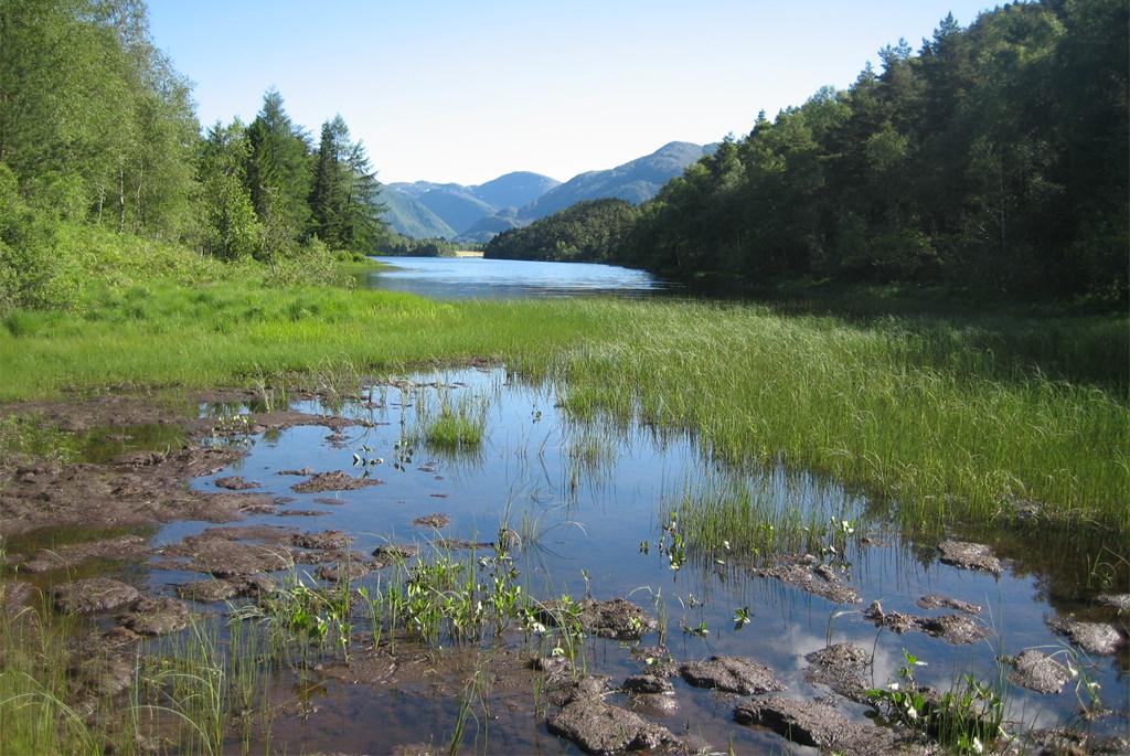 Nature clears 417 lakh tonnes of human waste every year: study Nature clears 417 lakh tonnes of human waste every year: study