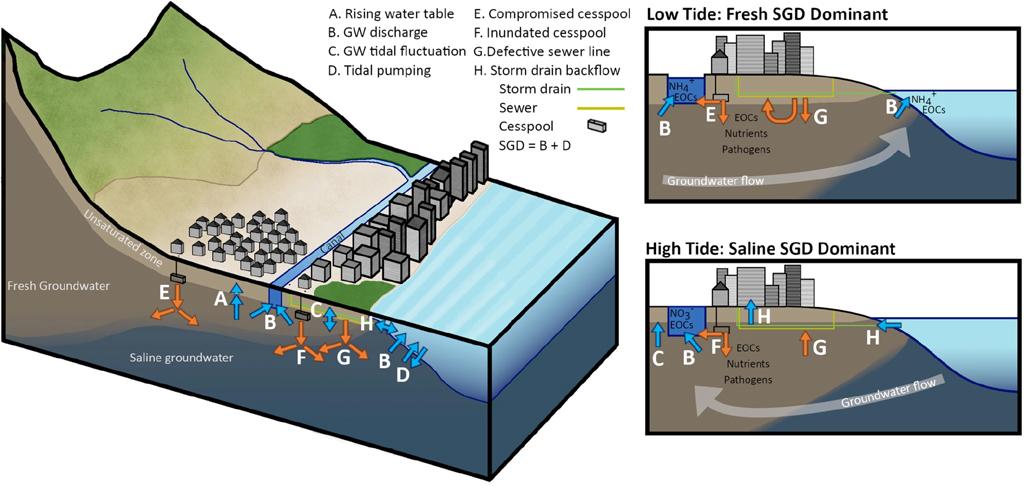 Limnology and Oceanography Letters