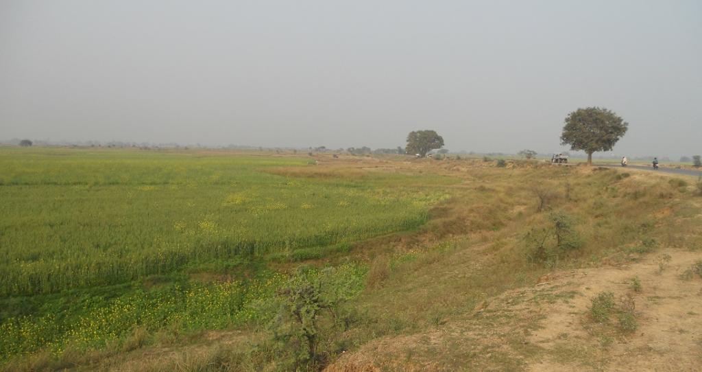 Contentious farm laws What the Bihar experience shows