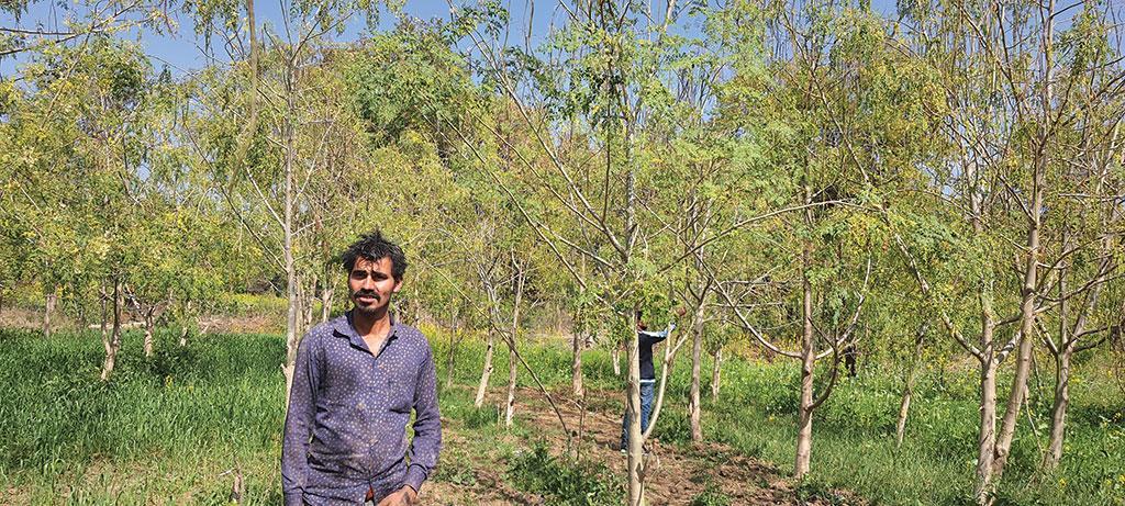 डाउन टू अर्थ ने मध्य प्रदेश के टीकमगढ़ जिले के नादिया गांव का दौरा किया। डाउन टू अर्थ ने मध्य प्रदेश के टीकमगढ़ जिले के नादिया गांव का दौरा किया।