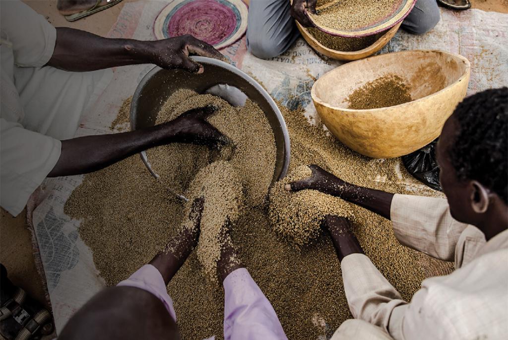 FAO warns of severe hunger in more than 20 countries FAO warns of severe hunger in more than 20 countries