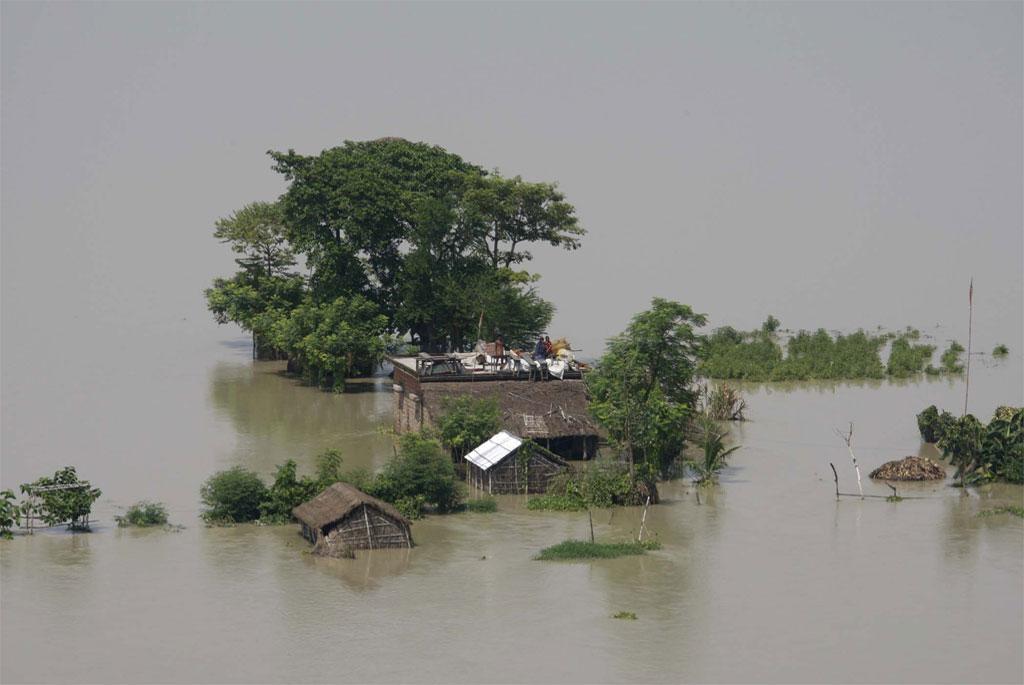 Increasing 1 degree of temperature increases the risk of people being displaced by 50 percent. Increasing 1 degree of temperature increases the risk of people being displaced by 50 percent.