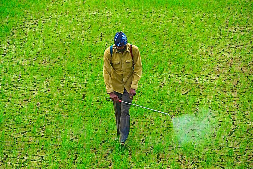 64 percent of agricultural land around the world is prone to pesticide pollution 64 percent of agricultural land around the world is prone to pesticide pollution