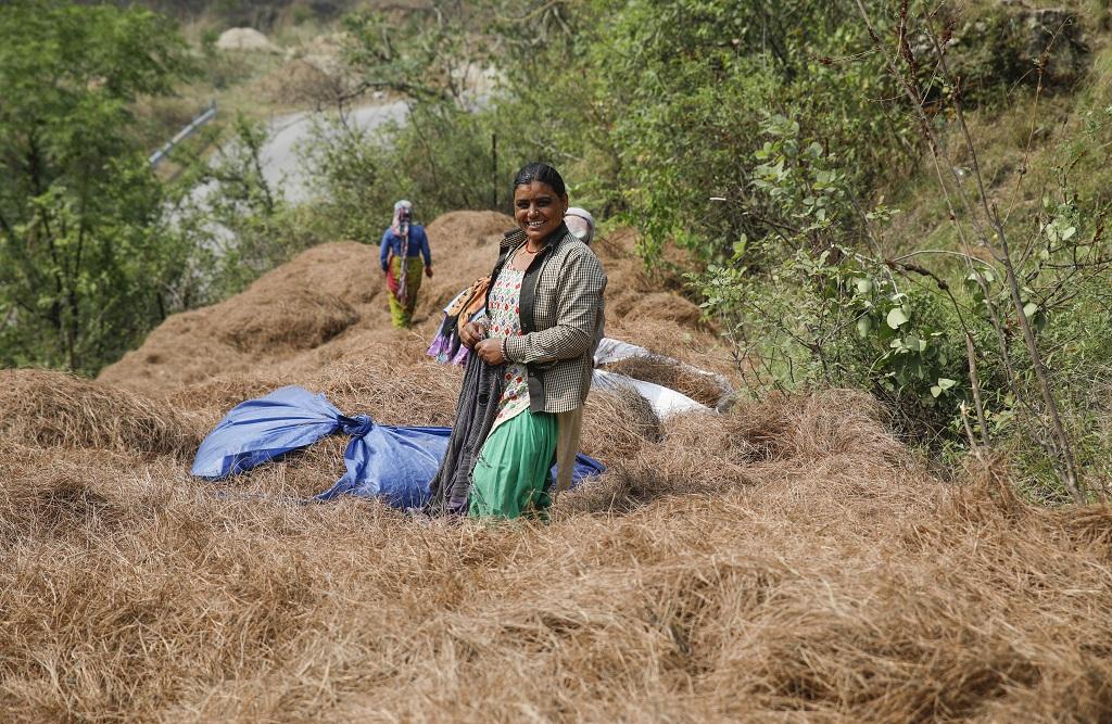 एक नए अध्ययन में कहा गया है कि उत्तराखंड के पहाड़ी जिले जलवायु परिवर्तन का अधिक शिकार हो रहे हैं। फोटो: विकास चौधरी एक नए अध्ययन में कहा गया है कि उत्तराखंड के पहाड़ी जिले जलवायु परिवर्तन का अधिक शिकार हो रहे हैं। फोटो: विकास चौधरी