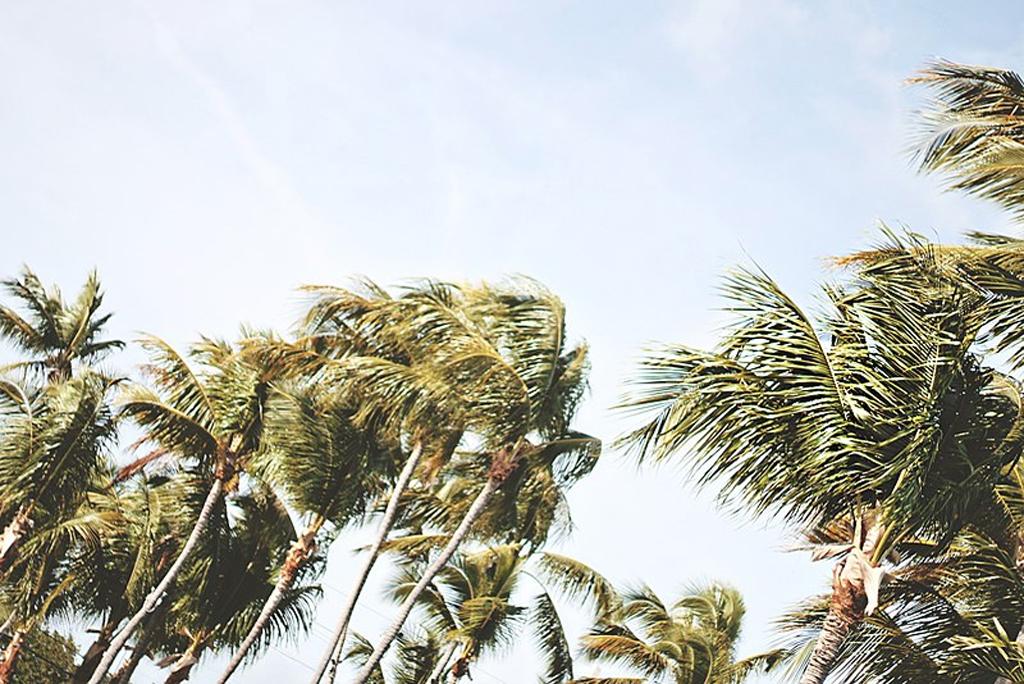 Weather update: know, how will the weather of the country be for the next five days Weather update: know, how will the weather of the country be for the next five days