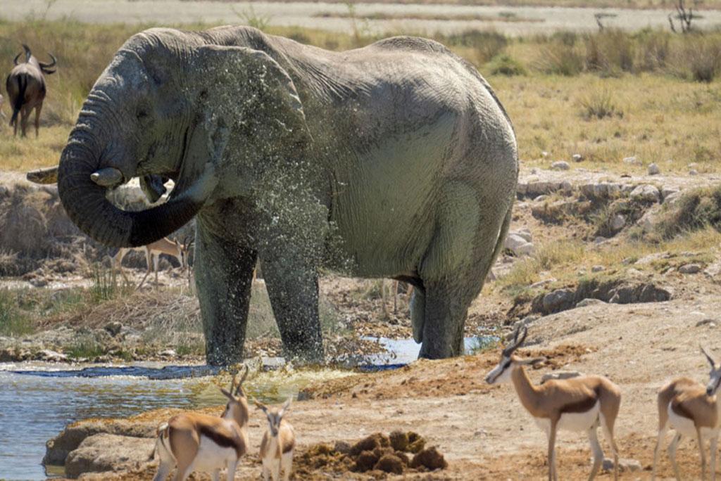 By changing crop production, 40 percent of the species can be saved from extinction. By changing crop production, 40 percent of the species can be saved from extinction.
