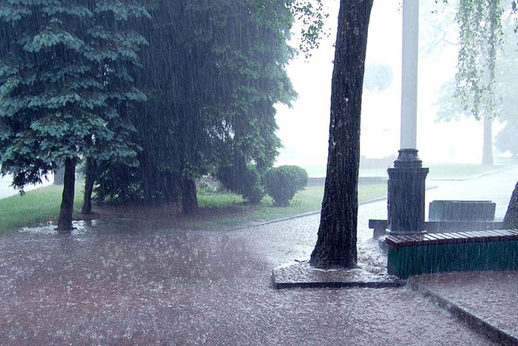 Weather update: Where will there be torrential rain in the country and where will the dust storm Weather update: Where will there be torrential rain in the country and where will the dust storm