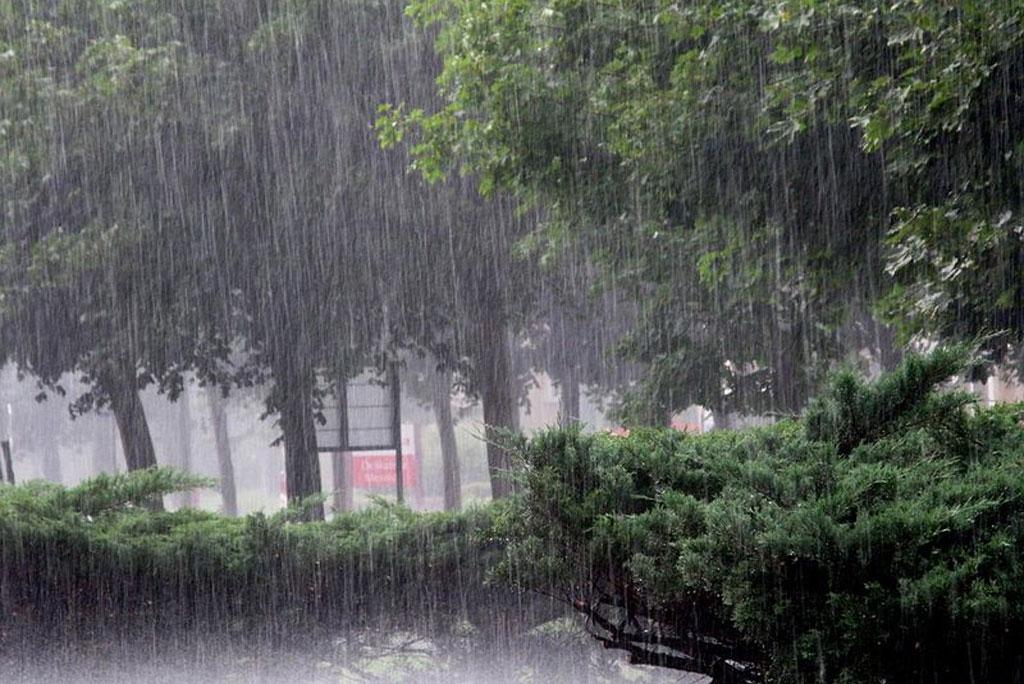 weather forecast weather forecast
