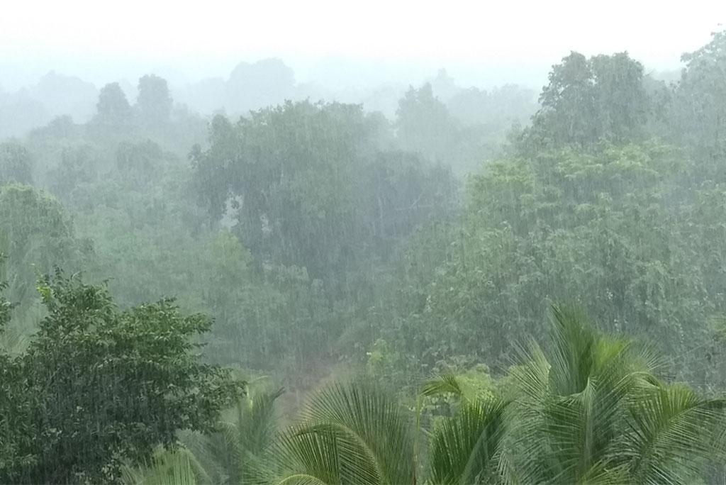 मध्य प्रदेश और गुजरात पहुंचा मानसून, आज छत्तीसगढ़ सहित कई राज्यों में बरसेंगे बादल मध्य प्रदेश और गुजरात पहुंचा मानसून, आज छत्तीसगढ़ सहित कई राज्यों में बरसेंगे बादल