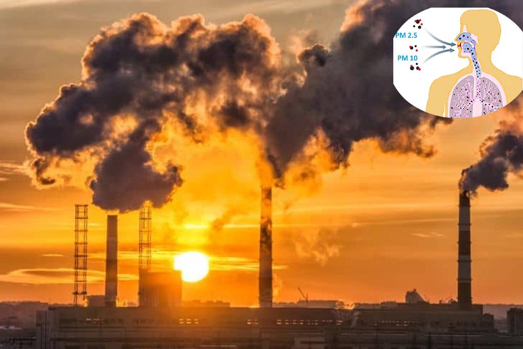 पीएम 2.5 कण जिम्मेदार थे 2019 में 41 लाख मौतों के लिए: अध्ययन पीएम 2.5 कण जिम्मेदार थे 2019 में 41 लाख मौतों के लिए: अध्ययन