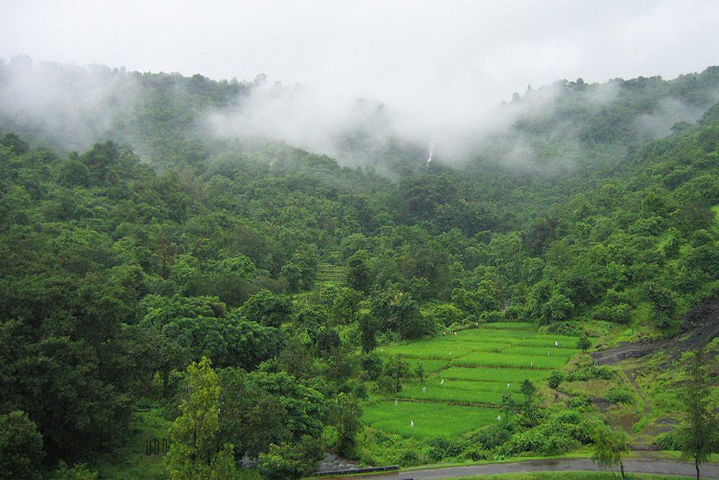 मानसून की रफ्तार राजस्थान, पश्चिम उत्तर प्रदेश, हरियाणा, पंजाब और दिल्ली में पड़ी धीमी मानसून की रफ्तार राजस्थान, पश्चिम उत्तर प्रदेश, हरियाणा, पंजाब और दिल्ली में पड़ी धीमी