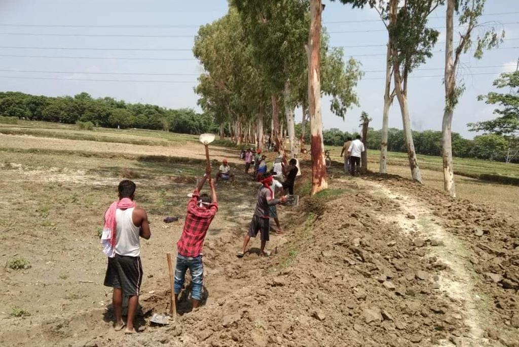 सीतामढ़ी में मनरेगा के तहत हो रहा काम; फ़ोटो: बिहार सरकार, सोशल मीडिया सीतामढ़ी में मनरेगा के तहत हो रहा काम; फ़ोटो: बिहार सरकार, सोशल मीडिया