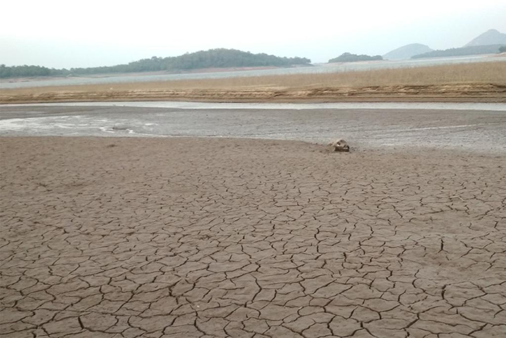 मानवीय कारणों से बढ़ रहा है दक्षिण पूर्व एशिया में सूखे का खतरा: अध्ययन मानवीय कारणों से बढ़ रहा है दक्षिण पूर्व एशिया में सूखे का खतरा: अध्ययन