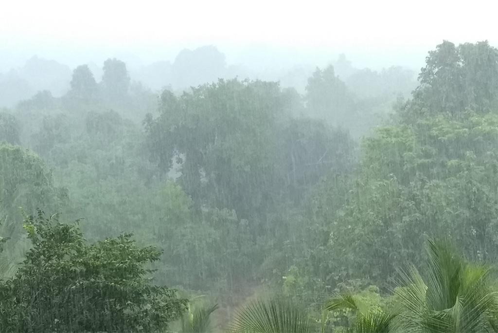 आज गुजरात, मध्य प्रदेश और महाराष्ट्र सहित देश के इन हिस्सों में जमकर बरसेगा मानसून आज गुजरात, मध्य प्रदेश और महाराष्ट्र सहित देश के इन हिस्सों में जमकर बरसेगा मानसून