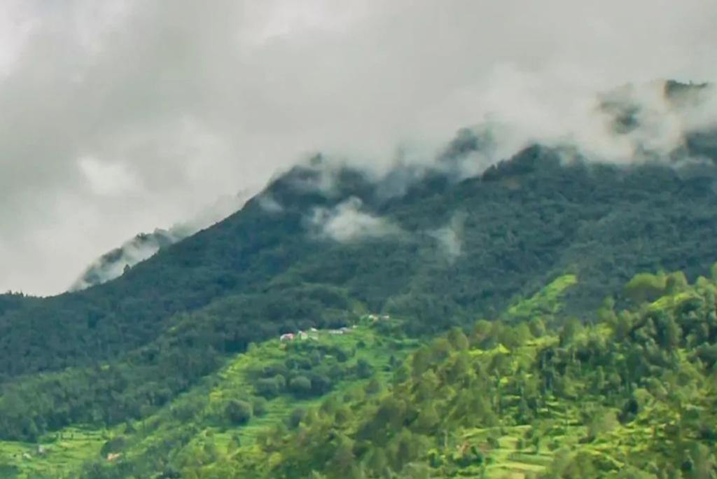 उत्तराखंड और हिमाचल प्रदेश समेत कई राज्यों में भारी बारिश, राजस्थान-मध्य प्रदेश में रेड अलर्ट उत्तराखंड और हिमाचल प्रदेश समेत कई राज्यों में भारी बारिश, राजस्थान-मध्य प्रदेश में रेड अलर्ट