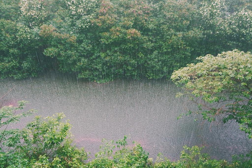 मानसून अपडेट: आज पूर्वोत्तर के कई हिस्सों, उत्तराखंड और बिहार समेत इन इलाकों में बरसेंगे बादल मानसून अपडेट: आज पूर्वोत्तर के कई हिस्सों, उत्तराखंड और बिहार समेत इन इलाकों में बरसेंगे बादल